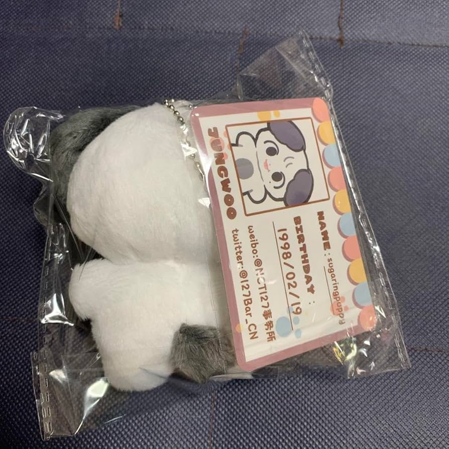 ジョンウ　10cm ぬいぐるみ　新品　マスター　nct ジョンウ ぬいぐるみ 10cm 新品 マスター nct - メルカリ